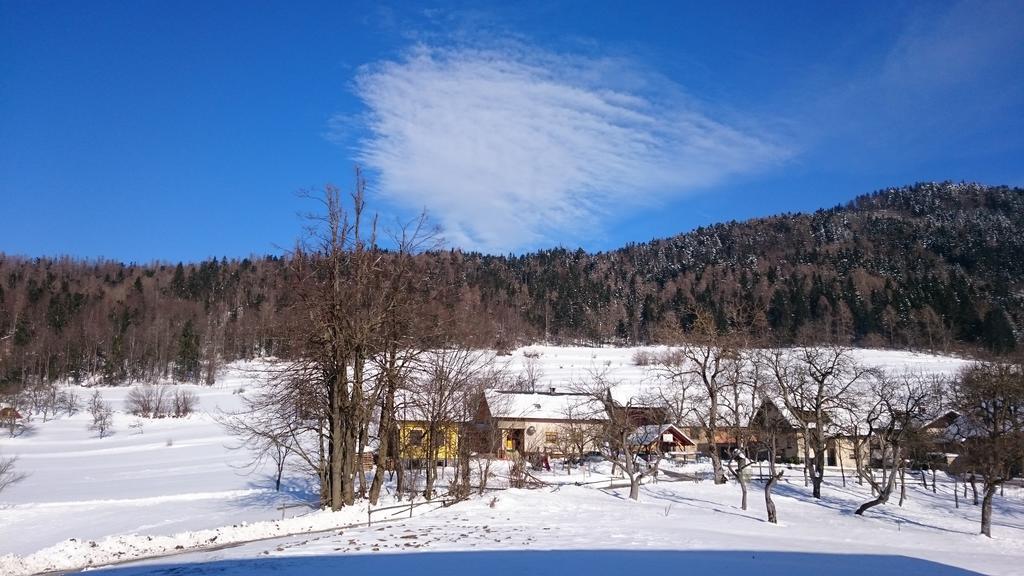 Apartment Vrtacnik Stefanja Gora Eksteriør bilde